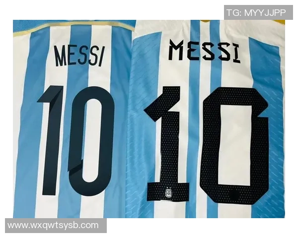 母亲为法国人背景的足球巨星及其成就解析