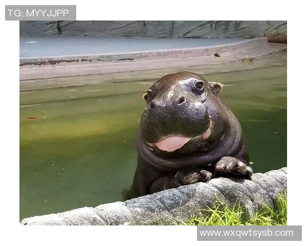 奔跑中爱吐舌头的足球明星展现个性魅力与赛场活力